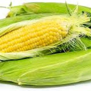 Corn, Yellow Sweet